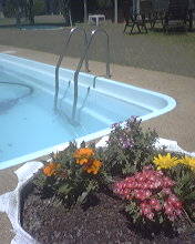 Blakney Creek NSW New South Wales Tourism 