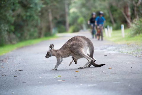 Myall Shores Holiday Park - New South Wales Tourism  11