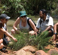 Nitmiluk Tours  Accommodation - New South Wales Tourism 