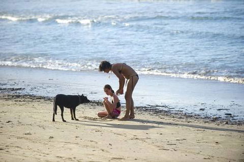 North Coast Holiday Parks Scotts Head - New South Wales Tourism  2