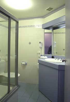 Palm Court Motor Inn - New South Wales Tourism  2