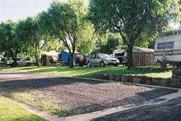 Poplar Caravan Park - New South Wales Tourism  3