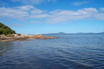 Prom Mill Cottages - New South Wales Tourism  4