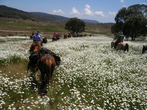 Reynella Kosciusko Rides Homestead - New South Wales Tourism  1