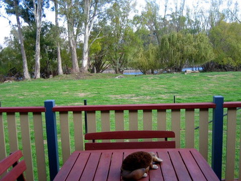 Ribbonwood Cottages - New South Wales Tourism  0