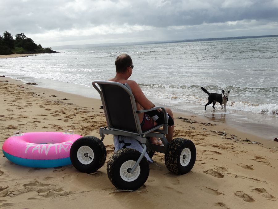 Phillip Island VIC New South Wales Tourism 