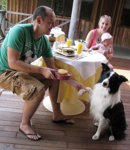 Riverwood Downs Mountain Valley Resort - New South Wales Tourism  2