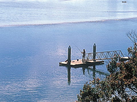Riviere On Golden Beach - New South Wales Tourism  2