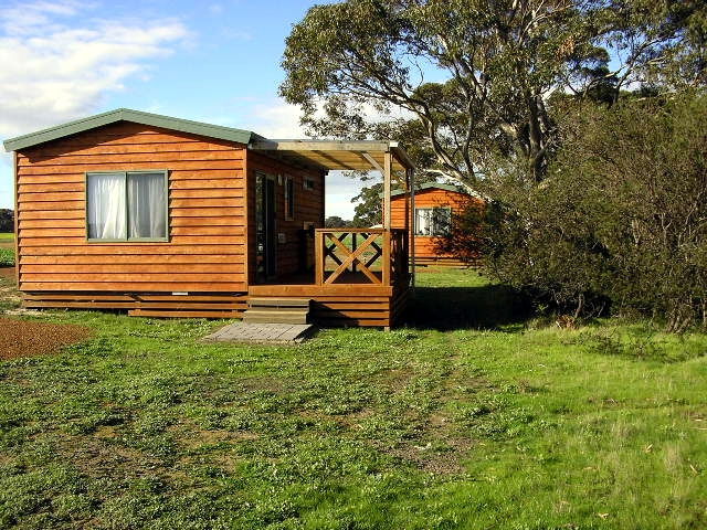 Seal Bay SA New South Wales Tourism 