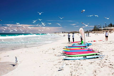Seashells Scarborough - New South Wales Tourism  6
