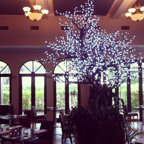 Shangri-La Gardens - New South Wales Tourism  1