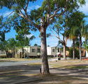 Sheldon Caravan Park - New South Wales Tourism 