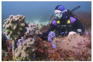 Shellharbour Village Motel - New South Wales Tourism  2