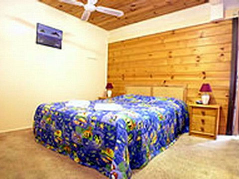 Shelly Beach Cabins - New South Wales Tourism  1