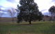 Snowy Mountains Motel - thumb 1