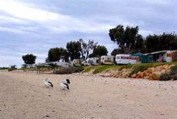 Stansbury Foreshore Caravan Park - New South Wales Tourism  0