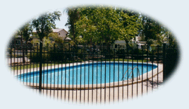 Sun City Caravan Park - thumb 0