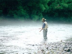 Ribbonwood Cottages - New South Wales Tourism  5