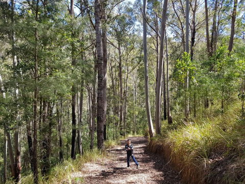 Nirvana Spiritual Retreat - New South Wales Tourism  2
