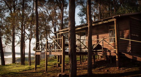 Balingup Heights Hilltop Forest Cottages - New South Wales Tourism  6