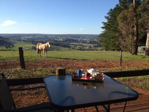 Balingup Heights Hilltop Forest Cottages - New South Wales Tourism  7