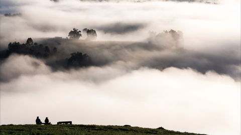 Balingup Heights Hilltop Forest Cottages - New South Wales Tourism  9