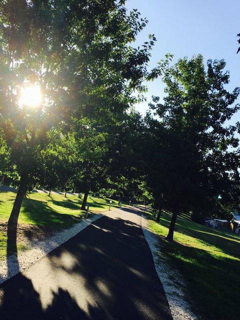 Blue Wren Cottage - New South Wales Tourism  10