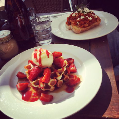 Blue Wren Cottage - New South Wales Tourism  11