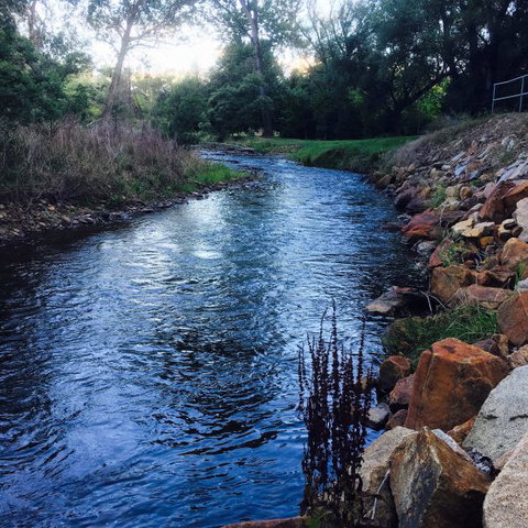 Blue Wren Cottage - New South Wales Tourism  12