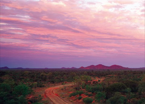 Bond Springs Outback Retreat - New South Wales Tourism  3