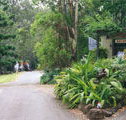 Tamborine Mountain Caravan  Camping - New South Wales Tourism 