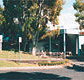 Tamwell Motel - New South Wales Tourism 