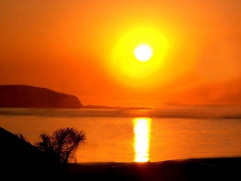 The Black Dolphin - New South Wales Tourism  2