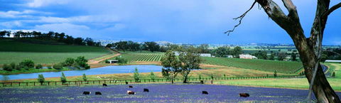The Falls Retreat - New South Wales Tourism  8