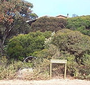 The Honeymyrtle Cottage