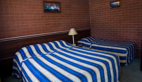 Junction Motor Inn - New South Wales Tourism  8