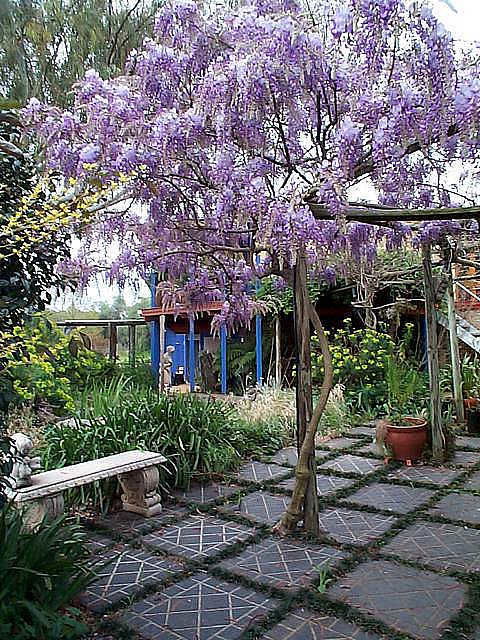 The Retreat At Froog Moore Park - New South Wales Tourism  2