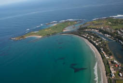 The Victoria Apartments - New South Wales Tourism  7