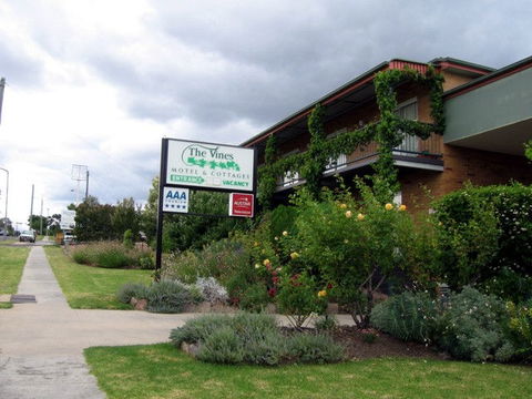The Vines Motel & Cottages - New South Wales Tourism  0