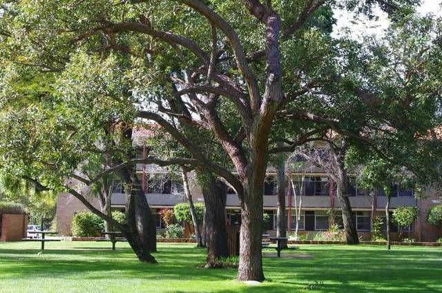 Dalkeith WA New South Wales Tourism 