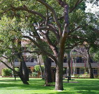 Trinity - New South Wales Tourism 