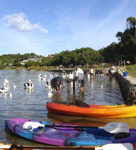 Turner Caravan Park - New South Wales Tourism  2