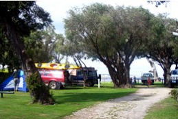 Turner Caravan Park - New South Wales Tourism  5