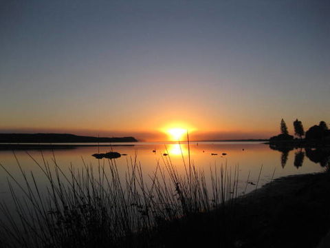 Turner Caravan Park - New South Wales Tourism  4