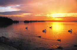 Two Shores Holiday Village - New South Wales Tourism  4