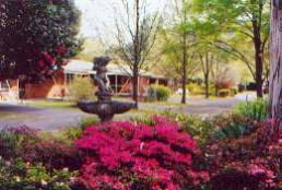 View Hill Holiday Units - New South Wales Tourism  0