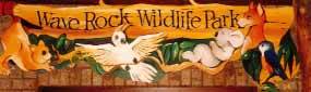 Wave Rock Hotel Motel - New South Wales Tourism  0