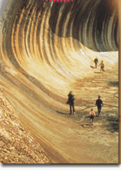 Wave Rock Hotel Motel - New South Wales Tourism  2