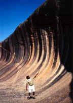 Wave Rock Hotel Motel - New South Wales Tourism  3