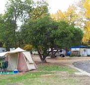 Wedderburn Pioneer Caravan Park - New South Wales Tourism 